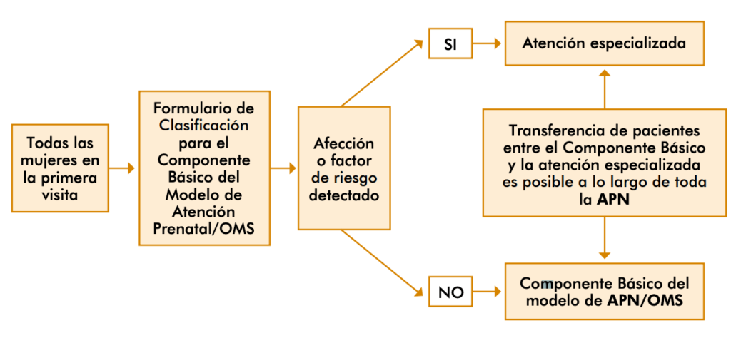 Esquema atención prenatal